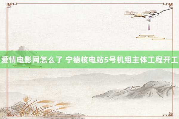 爱情电影网怎么了 宁德核电站5号机组主体工程开工