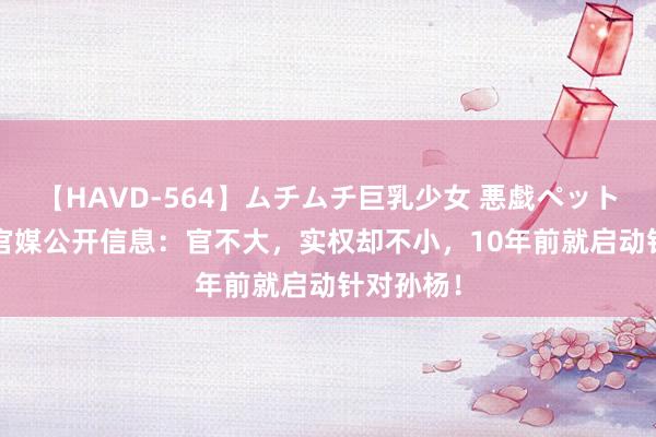 【HAVD-564】ムチムチ巨乳少女 悪戯ペット めぐみ 官媒公开信息：官不大，实权却不小，10年前就启动针对孙杨！