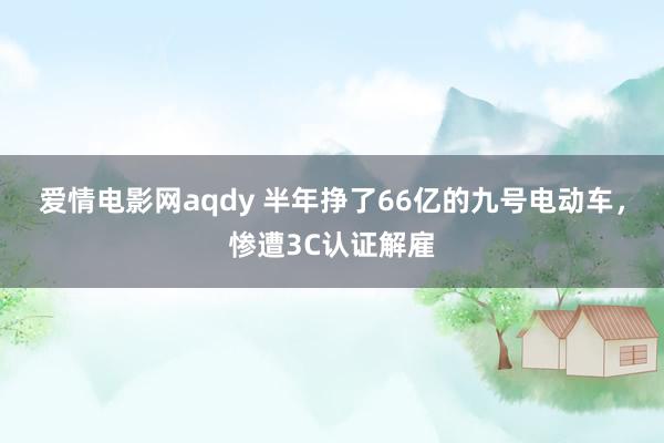 爱情电影网aqdy 半年挣了66亿的九号电动车，惨遭3C认证解雇