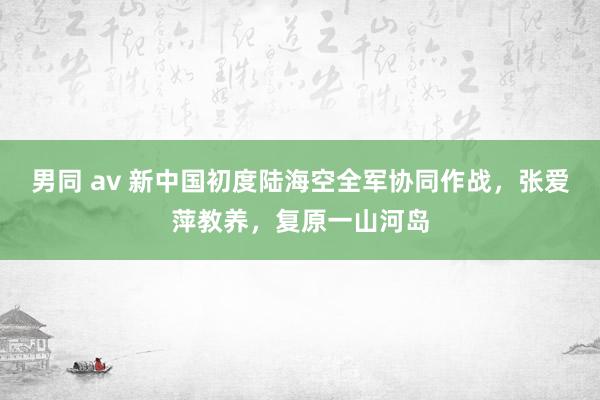 男同 av 新中国初度陆海空全军协同作战，张爱萍教养，复原一山河岛