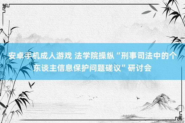 安卓手机成人游戏 法学院操纵“刑事司法中的个东谈主信息保护问题磋议”研讨会