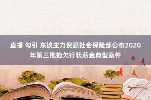 直播 勾引 东谈主力资源社会保险部公布2020年第三批拖欠行状薪金典型案件