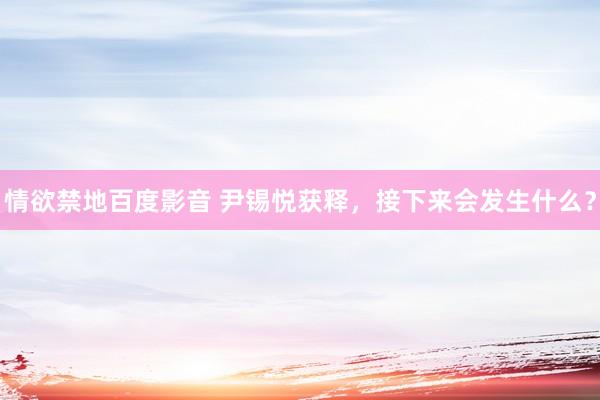 情欲禁地百度影音 尹锡悦获释，接下来会发生什么？