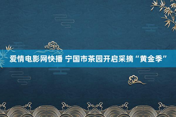 爱情电影网快播 宁国市茶园开启采摘“黄金季”