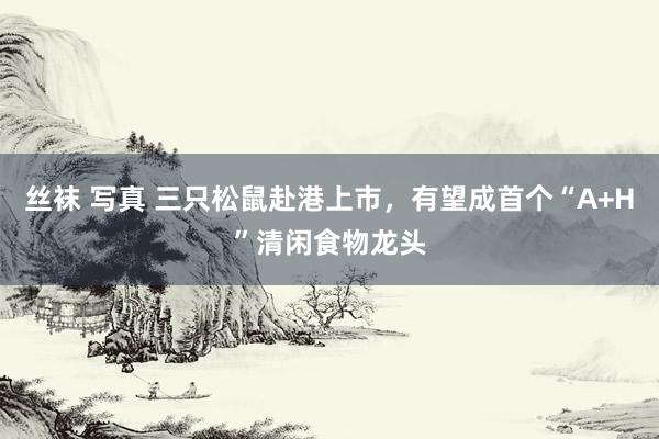 丝袜 写真 三只松鼠赴港上市，有望成首个“A+H”清闲食物龙头