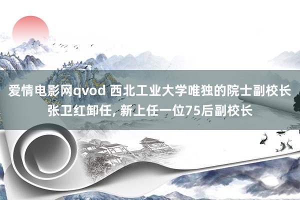 爱情电影网qvod 西北工业大学唯独的院士副校长张卫红卸任， 新上任一位75后副校长