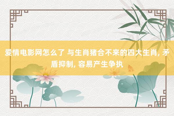 爱情电影网怎么了 与生肖猪合不来的四大生肖， 矛盾抑制， 容易产生争执
