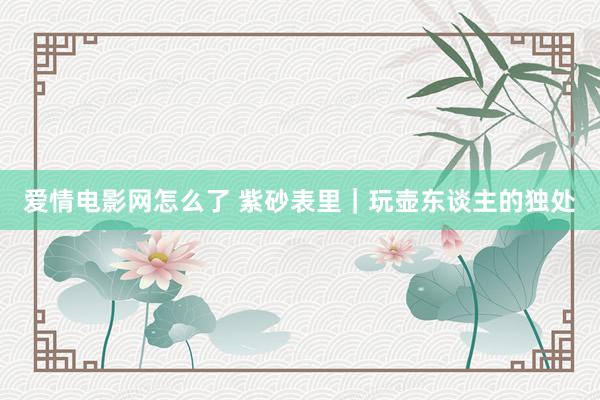 爱情电影网怎么了 紫砂表里｜玩壶东谈主的独处